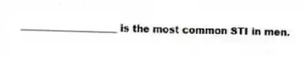 ____________________ is the most common STI in men.