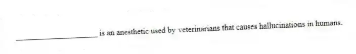 ____________________ is an anesthetic used by veterinarians that causes hallucinations in humans.