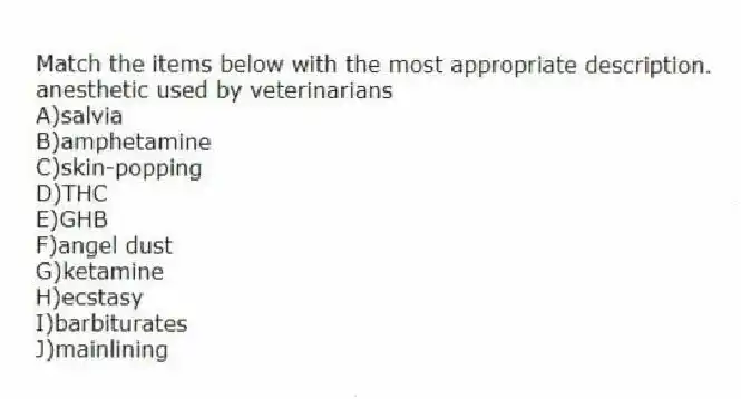 Match the items below with the most appropriate description.
-anesthetic used by veterinarians
A)salvia
B)amphetamine
C)skin-popping
D)THC
E)GHB
F)angel dust
G)ketamine
H)ecstasy
I)barbiturates
J)mainlining