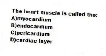 The heart muscle is called the:
A)myocardium
B)endocardium
C)pericardium
D)cardiac layer