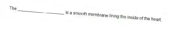 The ____________________ is a smooth membrane lining the inside of the heart.