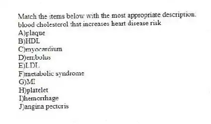 Match the items below with the most appropriate description.
-blood cholesterol that increases heart disease risk
A)plaque
B)HDL
C)myocardium
D)embolus
E)LDL
F)metabolic syndrome
G)MI
H)platelet
I)hemorrhage
J)angina pectoris
