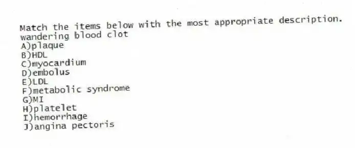 Match the items below with the most appropriate description.
-wandering blood clot
A)plaque
B)HDL
C)myocardium
D)embolus
E)LDL
F)metabolic syndrome
G)MI
H)platelet
I)hemorrhage
J)angina pectoris