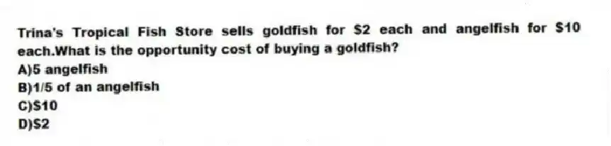 Trina's Tropical Fish Store sells goldfish for $2 each and angelfish for $10 each.What is the opportunity cost of buying a goldfish?
A)5 angelfish
B)1/5 of an angelfish
C)$10
D)$2