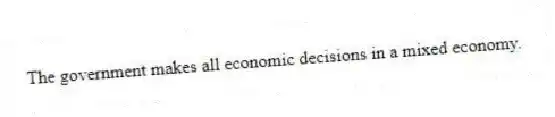 The government makes all economic decisions in a mixed economy.