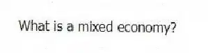 What is a mixed economy?
