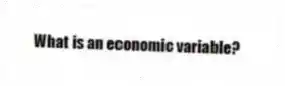 What is an economic variable?