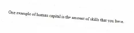 One example of human capital is the amount of skills that you have.
