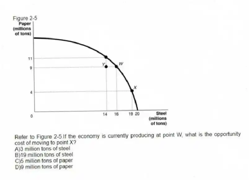 Figure 2-5
-Refer to Figure 2-5.If the economy is currently producing at point W, what is the opportunity cost of moving to point X?
A)3 million tons of steel
B)19 million tons of steel
C)5 million tons of paper
D)9 million tons of paper
