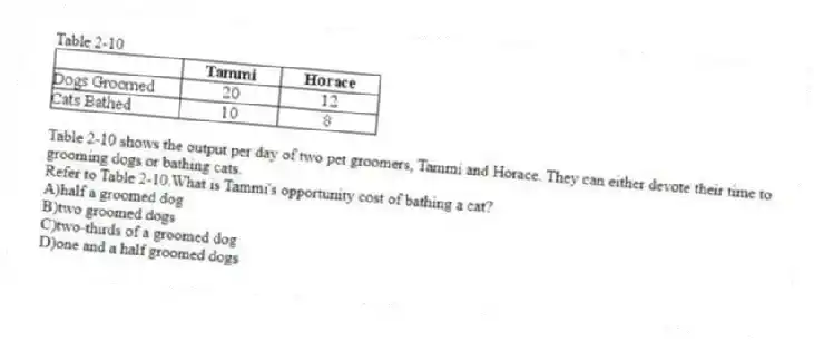Table 2-10
Table 2-10 shows the output per day of two pet groomers, Tammi and Horace. They can either devote their time to grooming dogs or bathing cats.
-Refer to Table 2-10.What is Tammi's opportunity cost of bathing a cat?
A)half a groomed dog
B)two groomed dogs
C)two-thirds of a groomed dog
D)one and a half groomed dogs
