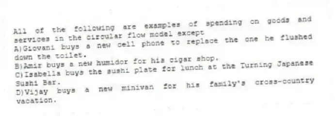 All of the following are examples of spending on goods and services in the circular flow model except
A)Giovani buys a new cell phone to replace the one he flushed down the toilet.
B)Amir buys a new humidor for his cigar shop.
C)Isabella buys the sushi plate for lunch at the Turning Japanese Sushi Bar.
D)Vijay buys a new minivan for his family's cross-country vacation.