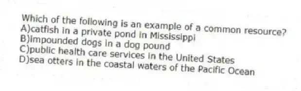 Which of the following is an example of a common resource?
A)catfish in a private pond in Mississippi
B)impounded dogs in a dog pound
C)public health care services in the United States
D)sea otters in the coastal waters of the Pacific Ocean