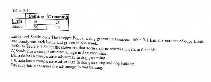 Table 9-1
Linda and Sandy own The Preppy Puppy, a dog grooming business. Table 9-1 lists the number of dogs Linda and Sandy can each bathe and groom in one week.
-Refer to Table 9-1.Select the statement that accurately interprets the data in the table.
A)Sandy has a comparative advantage in dog grooming.
B)Linda has a comparative advantage in dog grooming.
C)Linda has a comparative advantage in dog grooming and dog bathing.
D)Sandy has a comparative advantage in dog bathing.