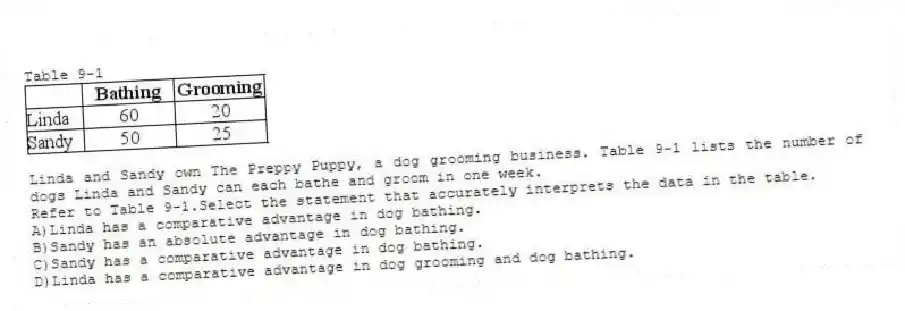 Table 9-1
Linda and Sandy own The Preppy Puppy, a dog grooming business. Table 9-1 lists the number of dogs Linda and Sandy can each bathe and groom in one week.
-Refer to Table 9-1.Select the statement that accurately interprets the data in the table.
A)Linda has a comparative advantage in dog bathing.
B)Sandy has an absolute advantage in dog bathing.
C)Sandy has a comparative advantage in dog bathing.
D)Linda has a comparative advantage in dog grooming and dog bathing.