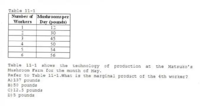 Table 11-1
Table 11-1 shows the technology of production at the Matsuko's Mushroom Farm for the month of May.
-Refer to Table 11-1.What is the marginal product of the 4th worker?
A)137 pounds
B)50 pounds
C)12.5 pounds
D)5 pounds