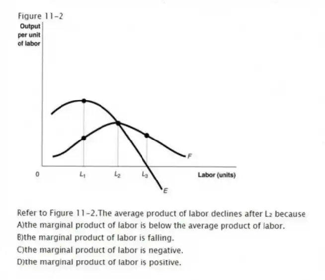 Figure 11-2
-Refer to Figure 11-2.The average product of labor declines after L₂ because
A)the marginal product of labor is below the average product of labor.
B)the marginal product of labor is falling.
C)the marginal product of labor is negative.
D)the marginal product of labor is positive.