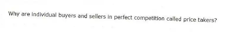 Why are individual buyers and sellers in perfect competition called price takers?
