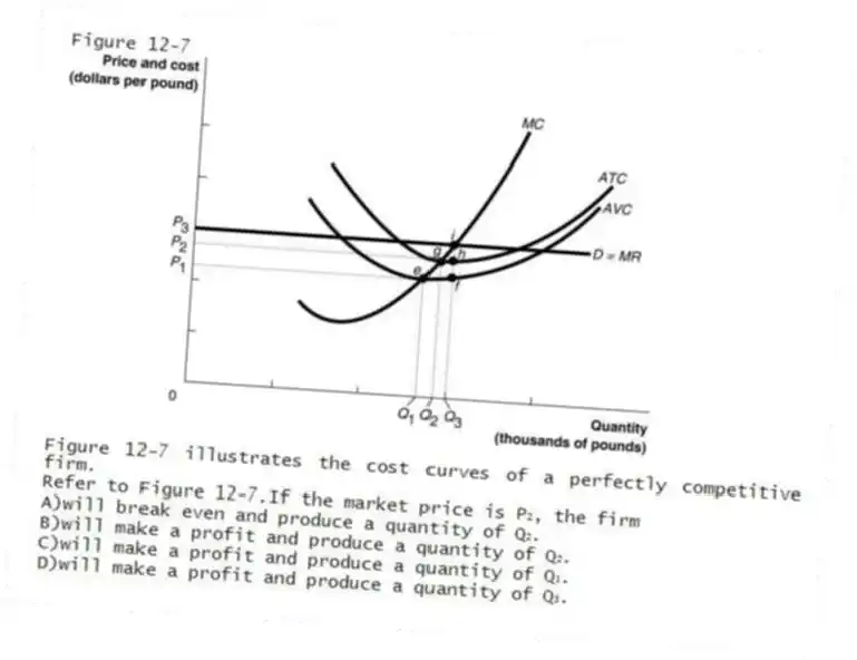 Figure 12-7
Figure 12-7 illustrates the cost curves of a perfectly competitive firm.
-Refer to Figure 12-7.If the market price is P₂, the firm
A)will break even and produce a quantity of Q₂.
B)will make a profit and produce a quantity of Q₂.
C)will make a profit and produce a quantity of Q₁.
D)will make a profit and produce a quantity of Q₃.