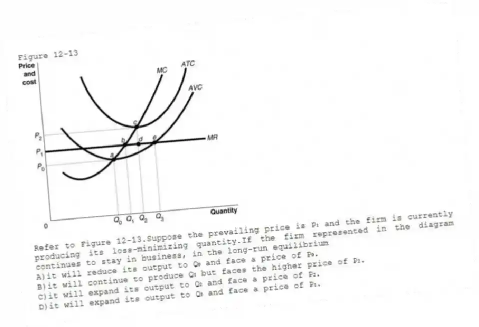 Figure 12-13
-Refer to Figure 12-13.Suppose the prevailing price is P₁ and the firm is currently producing its loss-minimizing quantity.If the firm represented in the diagram continues to stay in business, in the long-run equilibrium
A)it will reduce its output to Q₀ and face a price of P₀.
B)it will continue to produce Q₁ but faces the higher price of P₂.
C)it will expand its output to Q₂ and face a price of P₂.
D)it will expand its output to Q₃ and face a price of P₁.