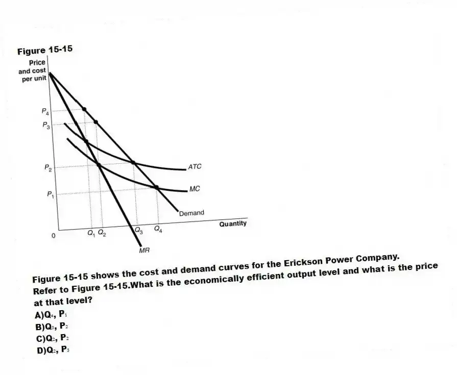 Figure 15-15
Figure 15-15 shows the cost and demand curves for the Erickson Power Company.
-Refer to Figure 15-15.What is the economically efficient output level and what is the price at that level?
A)Q₄, P₁
B)Q₃, P₂
C)Q₂, P₂
D)Q₂, P₃