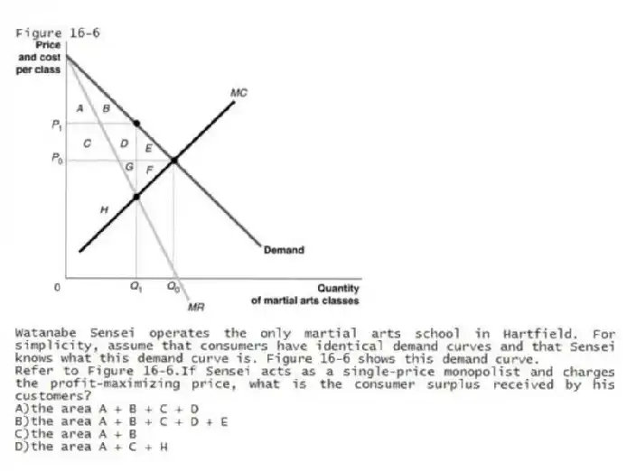 Figure 16-6
Watanabe Sensei operates the only martial arts school in Hartfield. For simplicity, assume that consumers have identical demand curves and that Sensei knows what this demand curve is. Figure 16-6 shows this demand curve.
-Refer to Figure 16-6.If Sensei acts as a single-price monopolist and charges the profit-maximizing price, what is the consumer surplus received by his customers?
A)the area A + B + C + D
B)the area A + B + C + D + E
C)the area A + B
D)the area A + C + H