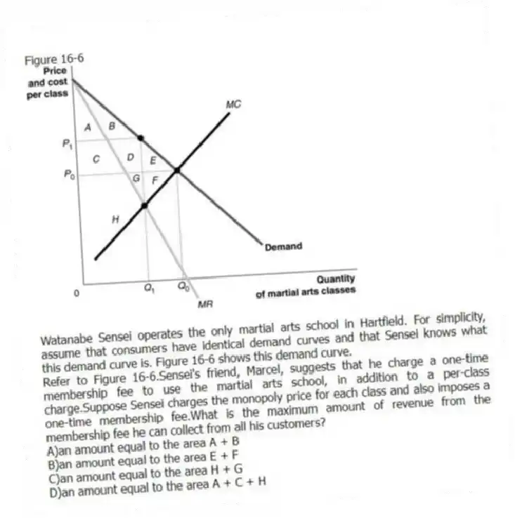 Figure 16-6
Watanabe Sensei operates the only martial arts school in Hartfield. For simplicity, assume that consumers have identical demand curves and that Sensei knows what this demand curve is. Figure 16-6 shows this demand curve.
-Refer to Figure 16-6.Sensei's friend, Marcel, suggests that he charge a one-time membership fee to use the martial arts school, in addition to a per-class charge.Suppose Sensei charges the monopoly price for each class and also imposes a one-time membership fee.What is the maximum amount of revenue from the membership fee he can collect from all his customers?
A)an amount equal to the area A + B
B)an amount equal to the area E + F
C)an amount equal to the area H + G
D)an amount equal to the area A + C + H