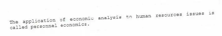 The application of economic analysis to human resources issues is called personnel economics.