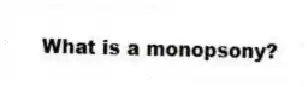 What is a monopsony?