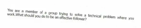You are a member of a group trying to solve a technical problem where you work.What should you do to be an effective follower?