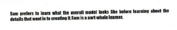 Sam prefers to learn what the overall model looks like before learning about the details that went in to creating it.Sam is a part-whole learner.