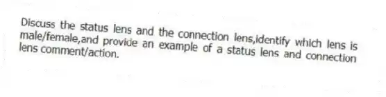 Discuss the status lens and the connection lens,identify which lens is male/female,and provide an example of a status lens and connection lens comment/action.