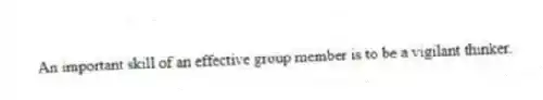 An important skill of an effective group member is to be a vigilant thinker.