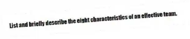 List and briefly describe the eight characteristics of an effective team.