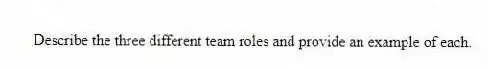 Describe the three different team roles and provide an example of each.