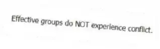 Effective groups do NOT experience conflict.