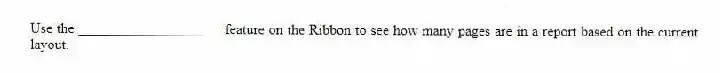 Use the ____________________ feature on the Ribbon to see how many pages are in a report based on the current layout.