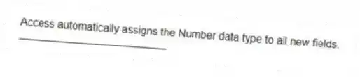 Access automatically assigns the Number data type to all new fields.
_________________________