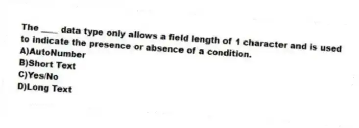 The ____ data type only allows a field length of 1 character and is used to indicate the presence or absence of a condition.
A)AutoNumber
B)Short Text
C)Yes/No
D)Long Text