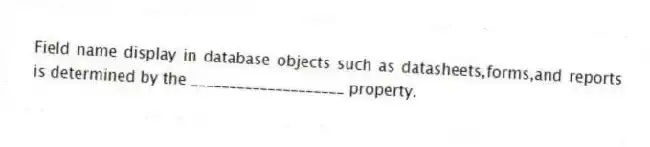 Field name display in database objects such as datasheets,forms,and reports is determined by the ____________________ property.