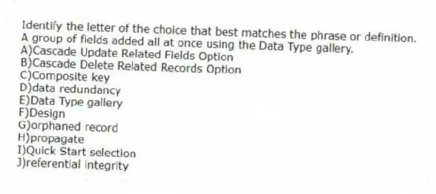Identify the letter of the choice that best matches the phrase or definition.
-A group of fields added all at once using the Data Type gallery.
A)Cascade Update Related Fields Option
B)Cascade Delete Related Records Option
C)Composite key
D)data redundancy
E)Data Type gallery
F)Design
G)orphaned record
H)propagate
I)Quick Start selection
J)referential integrity