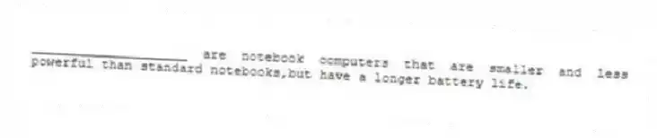 ____________________ are notebook computers that are smaller and less powerful than standard notebooks,but have a longer battery life.