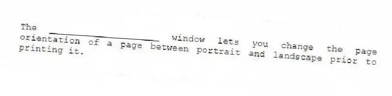 The ____________________ window lets you change the page orientation of a page between portrait and landscape prior to printing it.