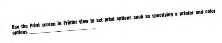 Use the Print screen in Printer view to set print options such as specifying a printer and color options._________________________