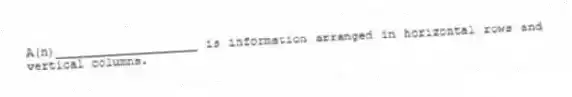 A(n)____________________ is information arranged in horizontal rows and vertical columns.