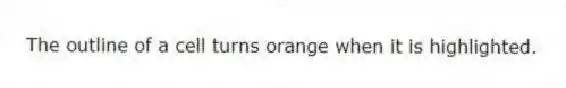 The outline of a cell turns orange when it is highlighted.