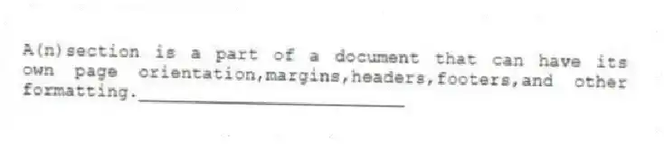 A(n)section is a part of a document that can have its own page orientation,margins,headers,footers,and other formatting._________________________