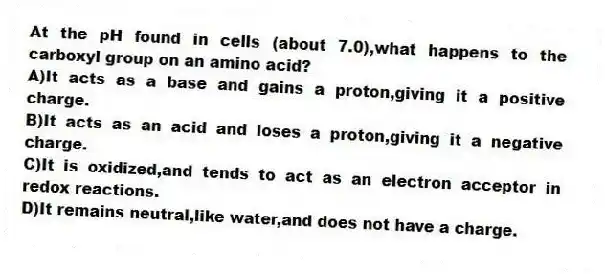 At the pH found in cells (about 7.0),what happens to the carboxyl group on an amino acid?
A)It acts as a base and gains a proton,giving it a positive charge.
B)It acts as an acid and loses a proton,giving it a negative charge.
C)It is oxidized,and tends to act as an electron acceptor in redox reactions.
D)It remains neutral,like water,and does not have a charge.