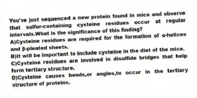 You've just sequenced a new protein found in mice and observe that sulfur-containing cysteine residues occur at regular intervals.What is the significance of this finding?
A)Cysteine residues are required for the formation of α-helices and β-pleated sheets.
B)It will be important to include cysteine in the diet of the mice.
C)Cysteine residues are involved in disulfide bridges that help form tertiary structure.
D)Cysteine causes bends,or angles,to occur in the tertiary structure of proteins.