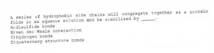 A series of hydrophobic side chains will congregate together as a protein folds in an aqueous solution and be stabilized by _____.
A)disulfide bonds
B)van der Waals interaction
C)hydrogen bonds
D)quaternary structure bonds