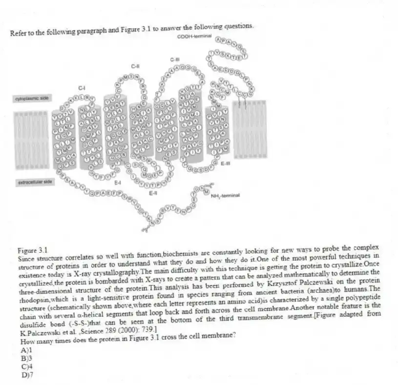 Refer to the following paragraph and Figure 3.1 to answer the following questions.
  
Figure 3.1
Since structure correlates so well with function,biochemists are constantly looking for new ways to probe the complex structure of proteins in order to understand what they do and how they do it.One of the most powerful techniques in existence today is X-ray crystallography.The main difficulty with this technique is getting the protein to crystallize.Once crystallized,the protein is bombarded with X-rays to create a pattern that can be analyzed mathematically to determine the three-dimensional structure of the protein.This analysis has been performed by Krzysztof Palczewski on the protein rhodopsin,which is a light-sensitive protein found in species ranging from ancient bacteria (archaea)to humans.The structure (schematically shown above,where each letter represents an amino acid)is characterized by a single polypeptide chain with several α-helical segments that loop back and forth across the cell membrane.Another notable feature is the disulfide bond (-S-S-)that can be seen at the bottom of the third transmembrane segment.[Figure adapted from K.Palczewski et al. ,Science 289 (2000): 739.]
-How many times does the protein in Figure 3.1 cross the cell membrane?
A)1 
B)3 
C)4 
